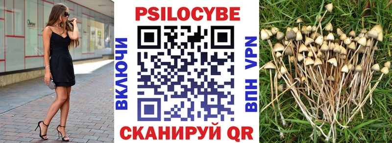 что такое наркотик  Белозерск  Псилоцибиновые грибы Psilocybine cubensis 